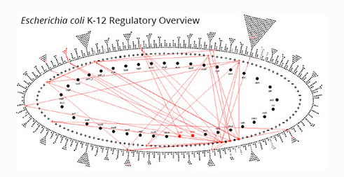 Regulatory Overview Image